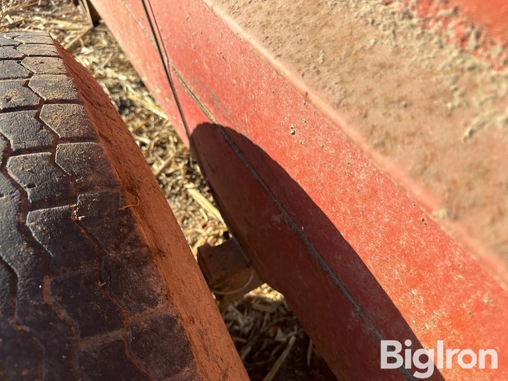 kelly-ryan-5x12-image-14