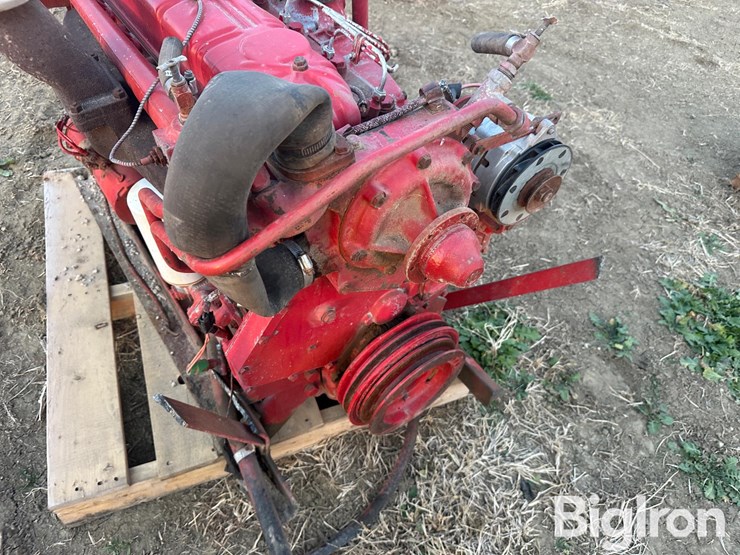 international-310-image-15