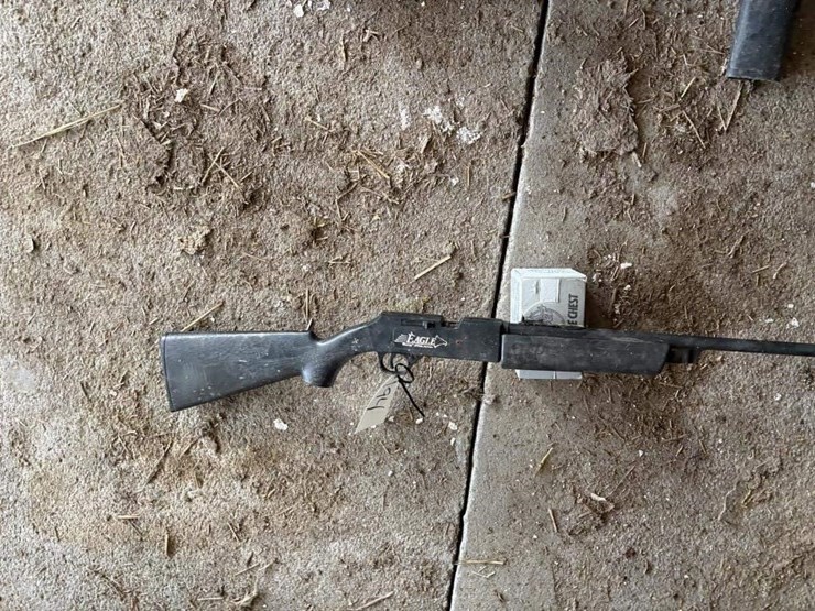 daisy-eagle-bb-gun-image-2