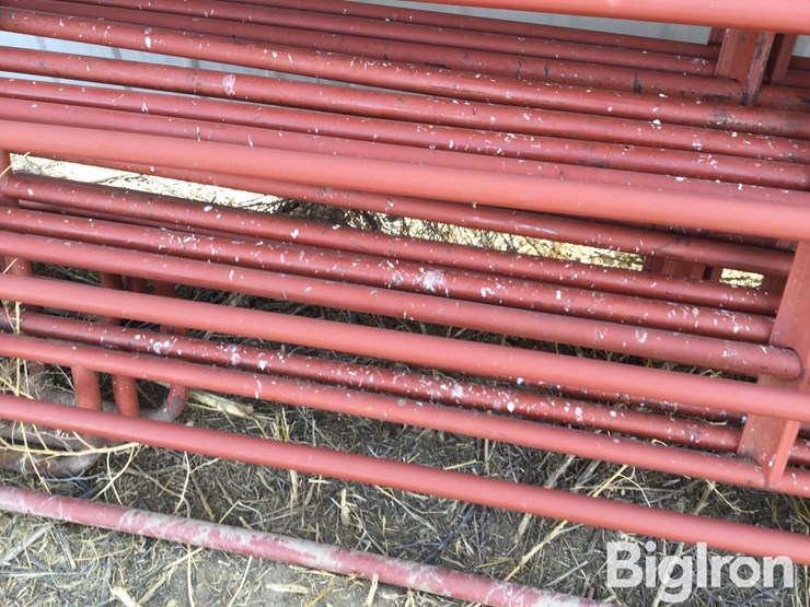 metal-livestock-panels-image-16