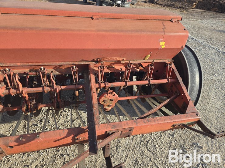 international-10-image-15