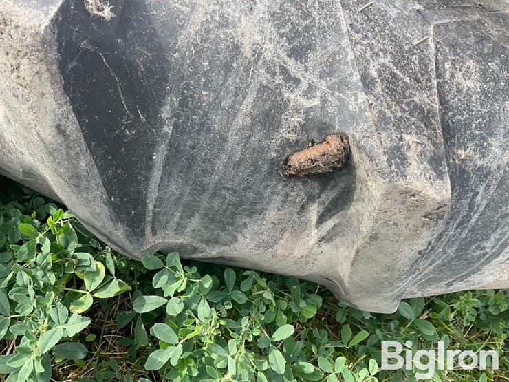 international-8-image-15