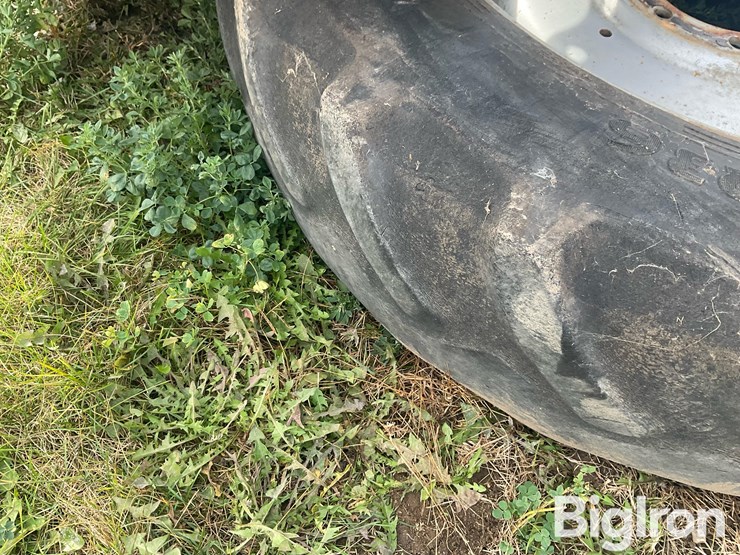 international-8-image-20