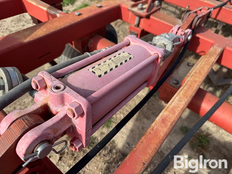 sunflower-2331-image-19