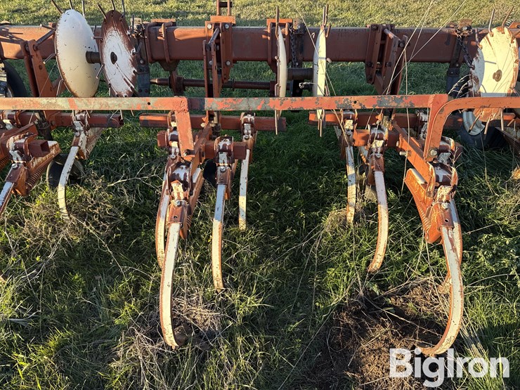 international-153-image-19