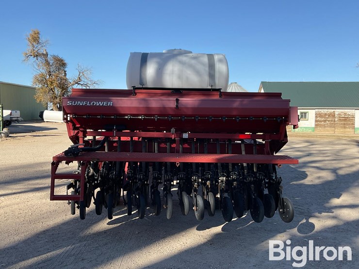 sunflower-9433-40-image-4