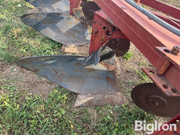 international-5-image-14