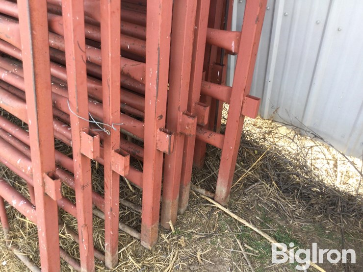 metal-livestock-panels-image-17