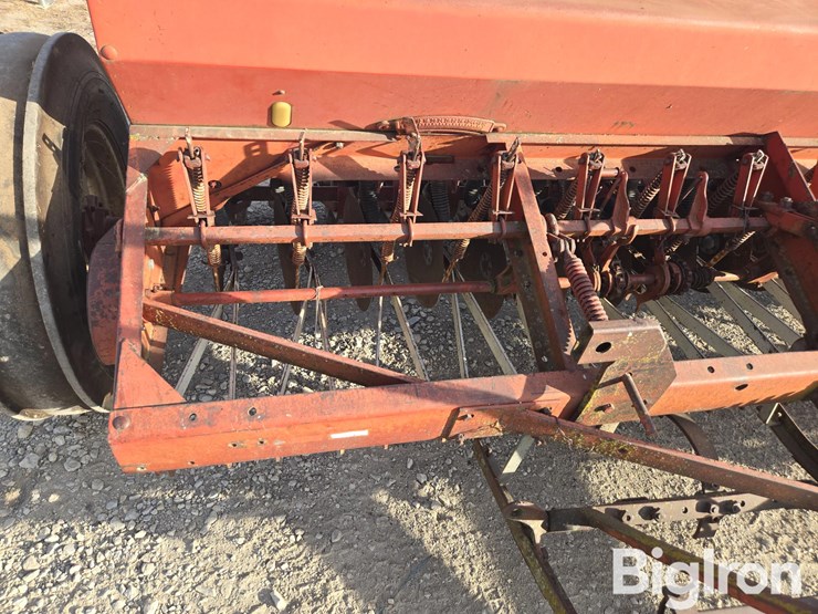 international-10-image-12