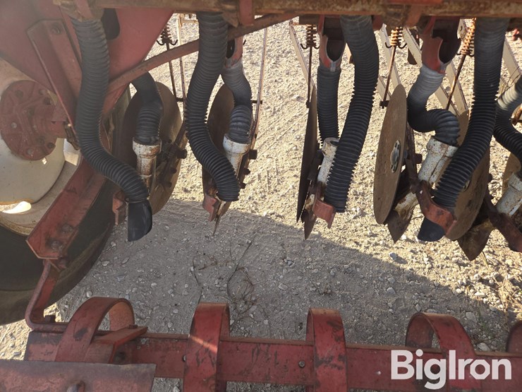 international-10-image-20