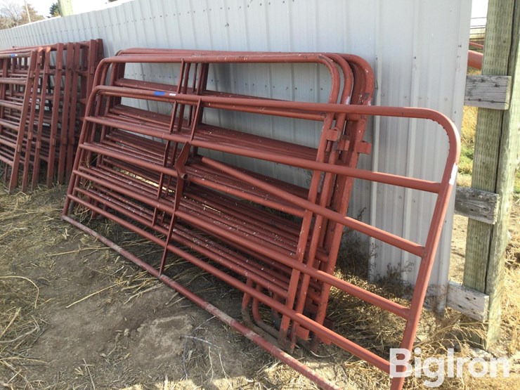 metal-livestock-panels-image-5