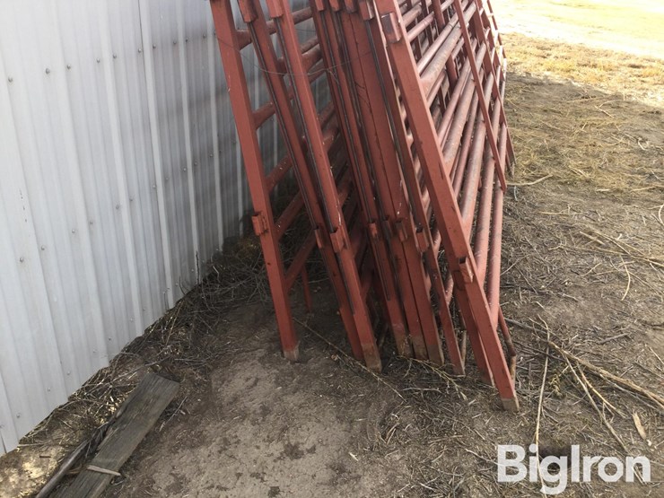metal-livestock-panels-image-5