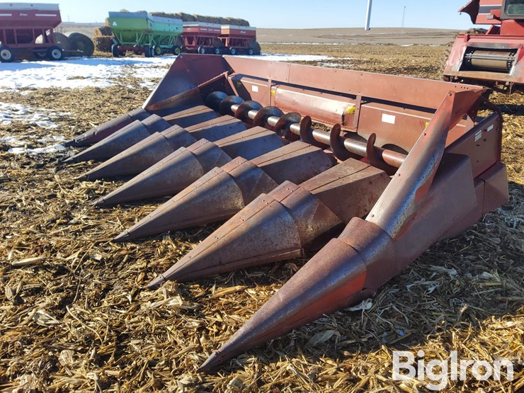 international-863-image-1