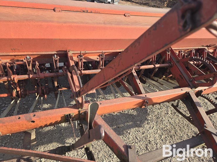 international-10-image-13