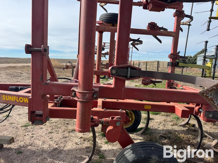 sunflower-2331-image-16