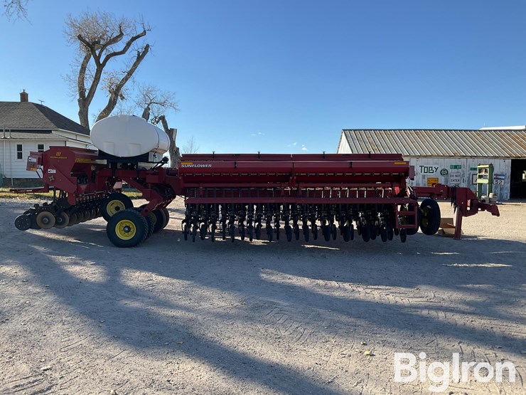 sunflower-9433-40-image-6