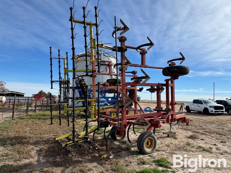 sunflower-2331-image-5