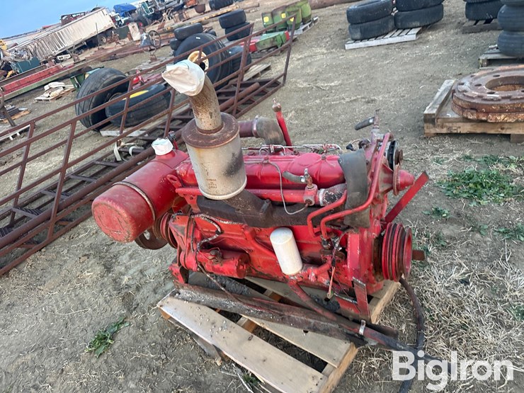 international-310-image-10