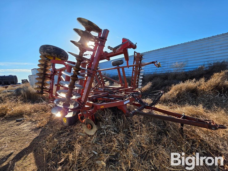 sunflower-80ta-image-4