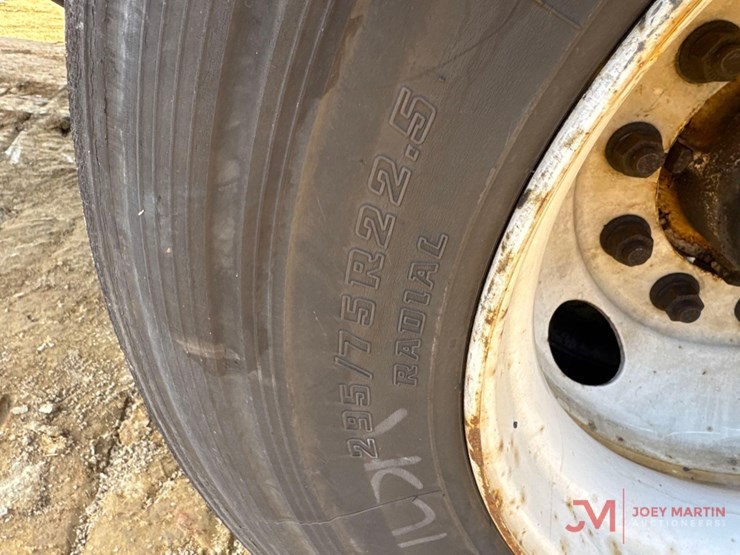 great-dane-53-image-8