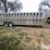 wilson-livestock-trailer-image-4