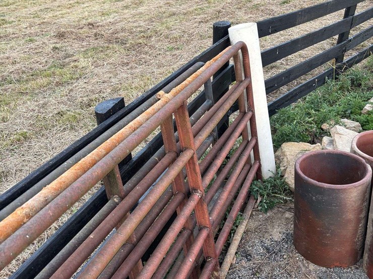 3-bull-gates-image-6