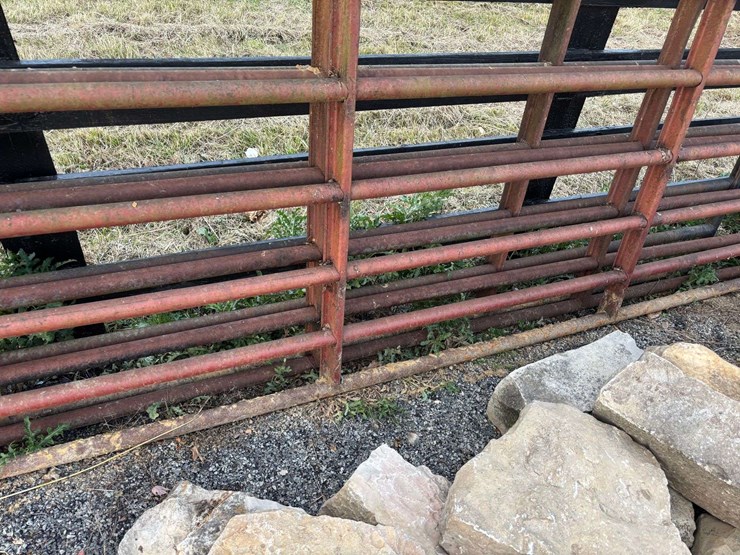 3-bull-gates-image-3