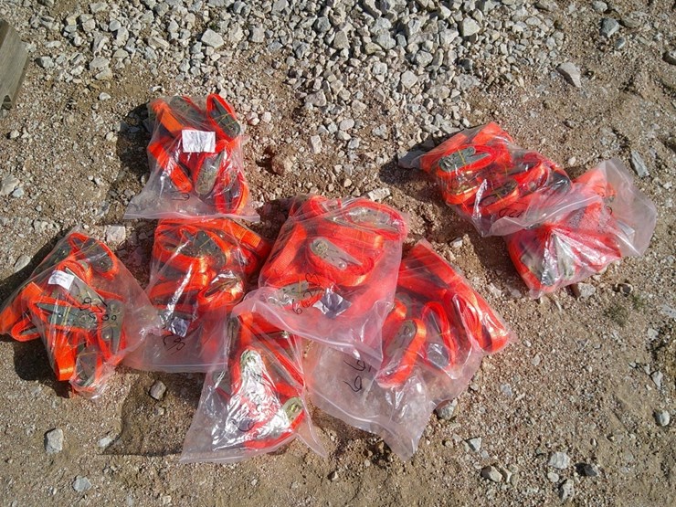 bag-of-straps-image-1