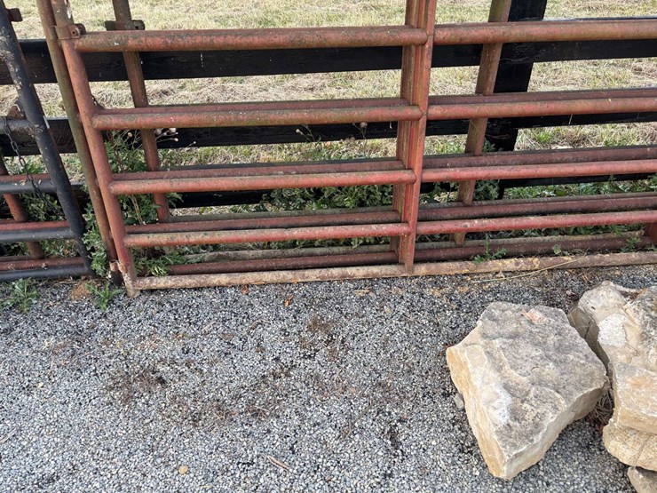 3-bull-gates-image-2