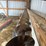 grain-bin-sweep-for-24'-bin-image-7