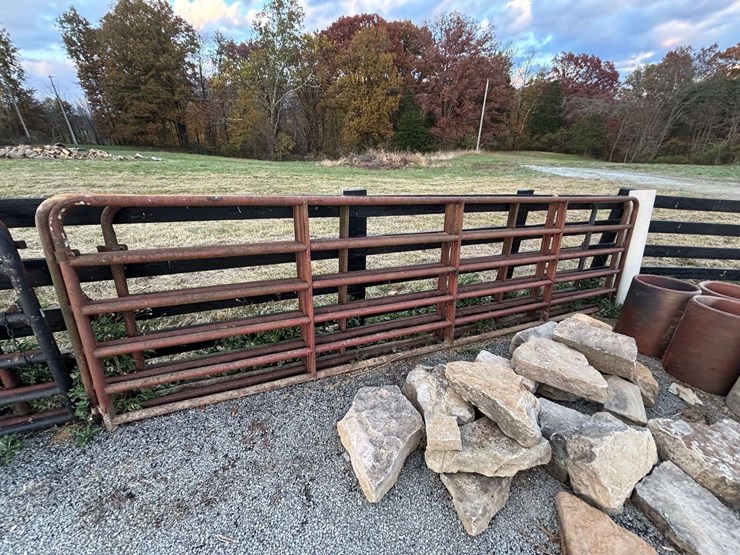 3-bull-gates-image-1