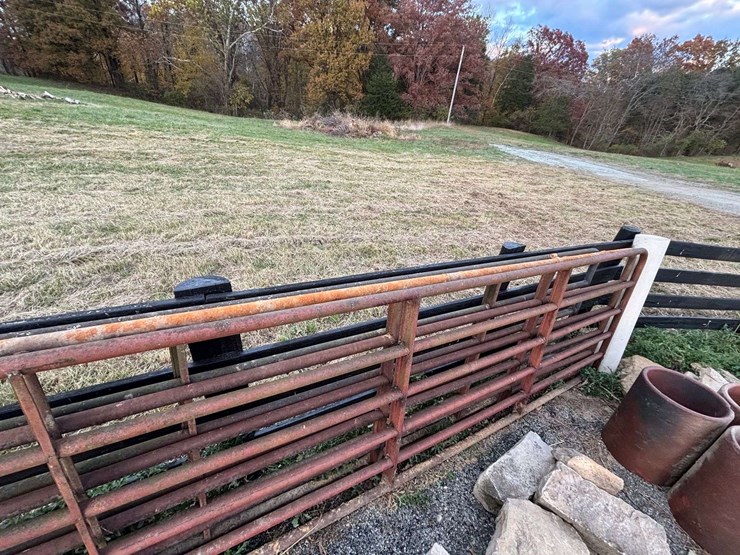 3-bull-gates-image-7