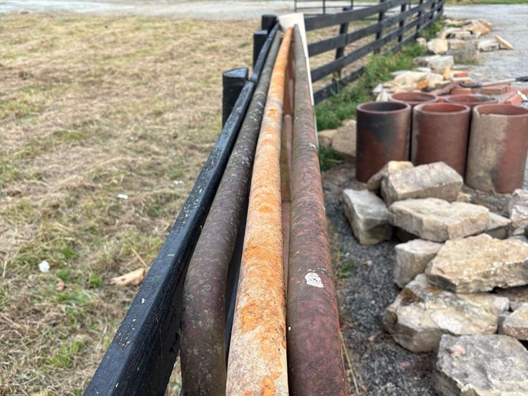 3-bull-gates-image-5