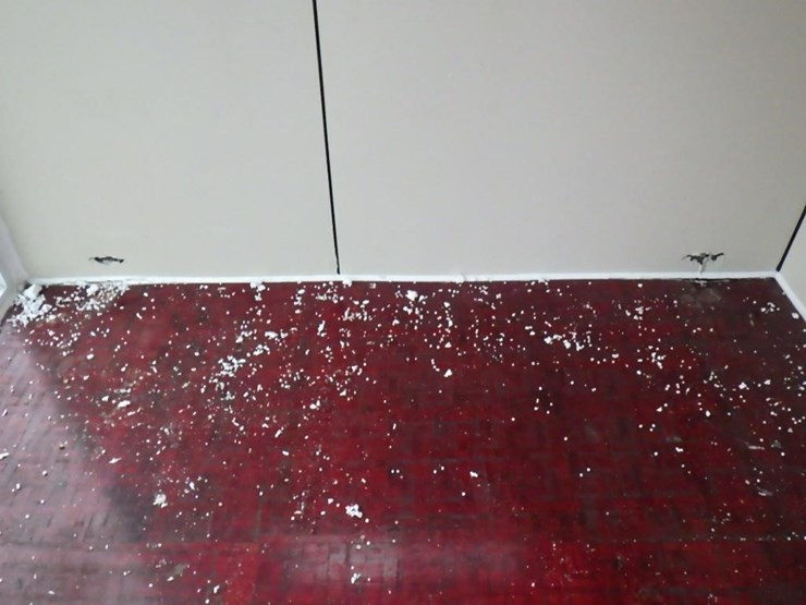 wood-grain-mini-adu-16.7'x7.4'x8'-image-11