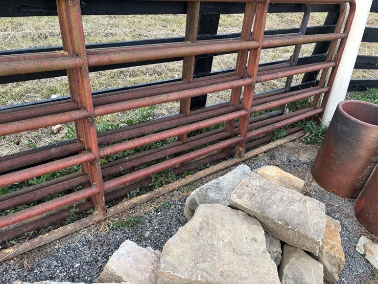 3-bull-gates-image-4