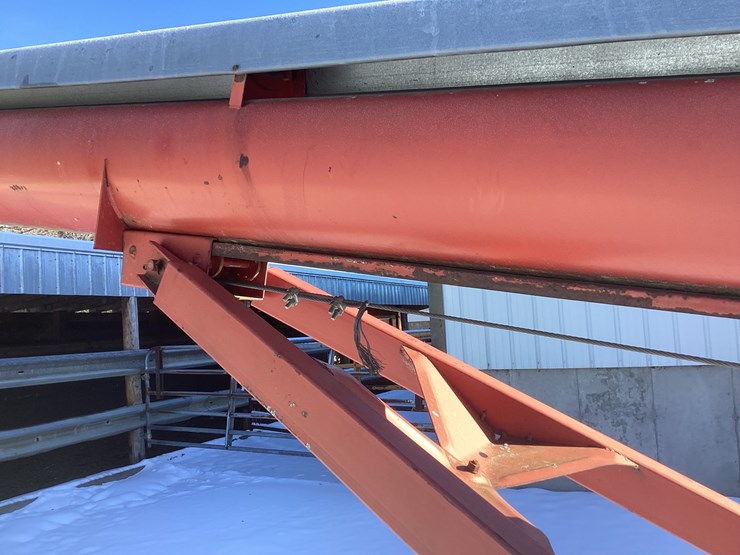 #4685-•-fetral-auger-image-6