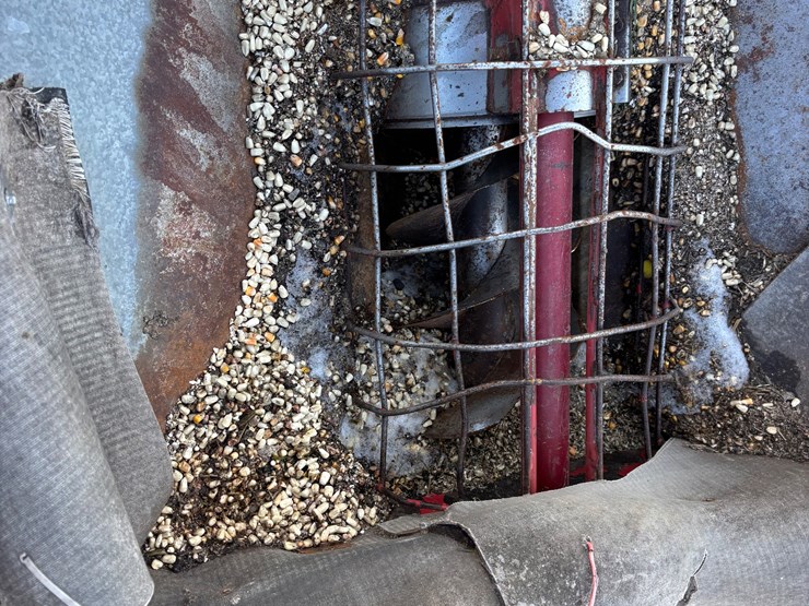 #1569-•-auger-image-3