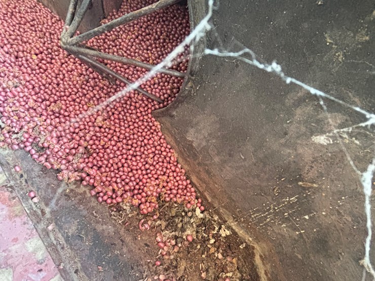 #1566-•-ez-trail-seed-wagon-image-7