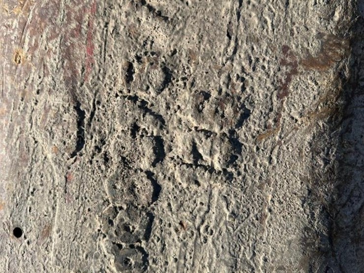 2012-tramac-v2500-hammer-xx50453-image-9