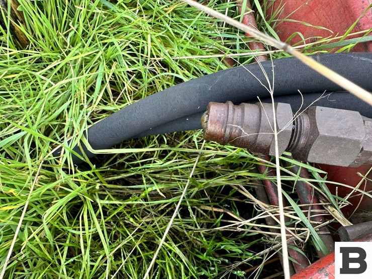 international-45-image-6