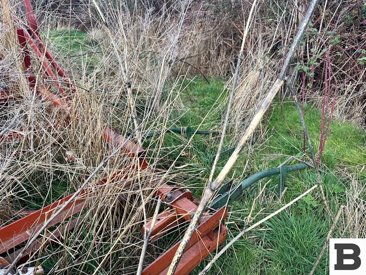 international-45-image-30