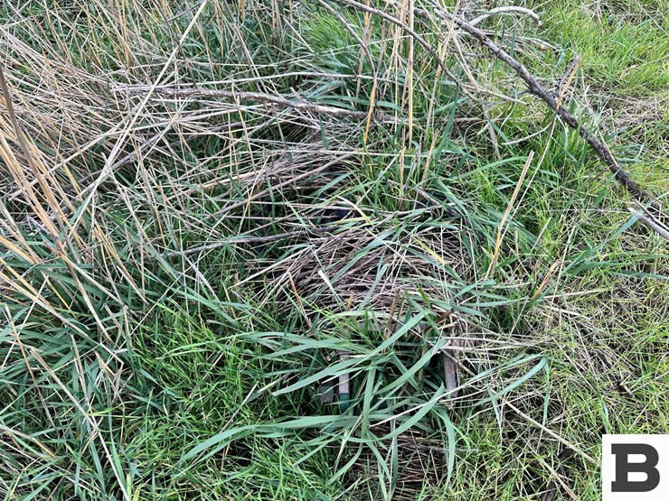 40'-spring-tine-harrow-cart---dixie,-wa-image-2