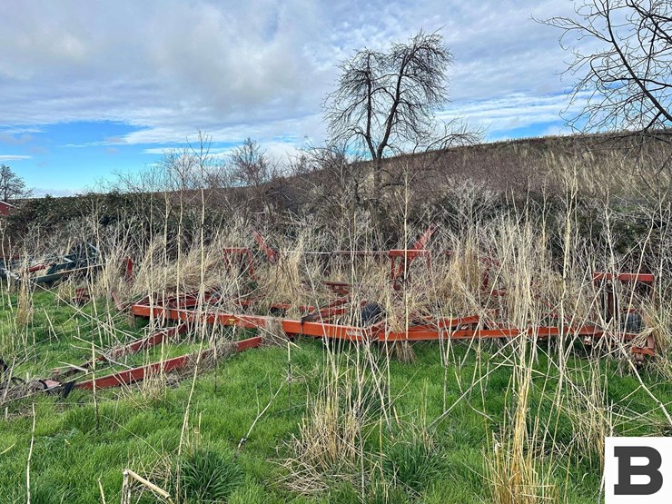 international-45-image-2