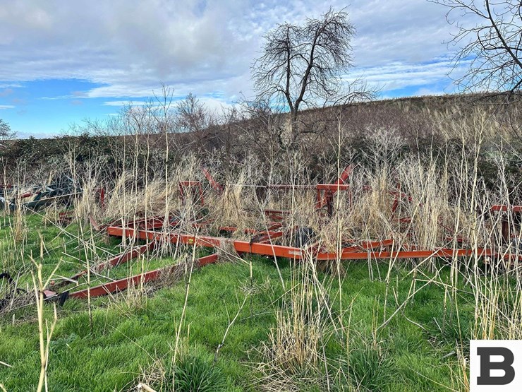 international-45-image-1