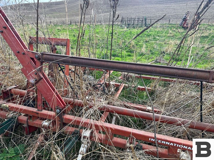 international-45-image-17