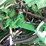john-deere-s690-image-36