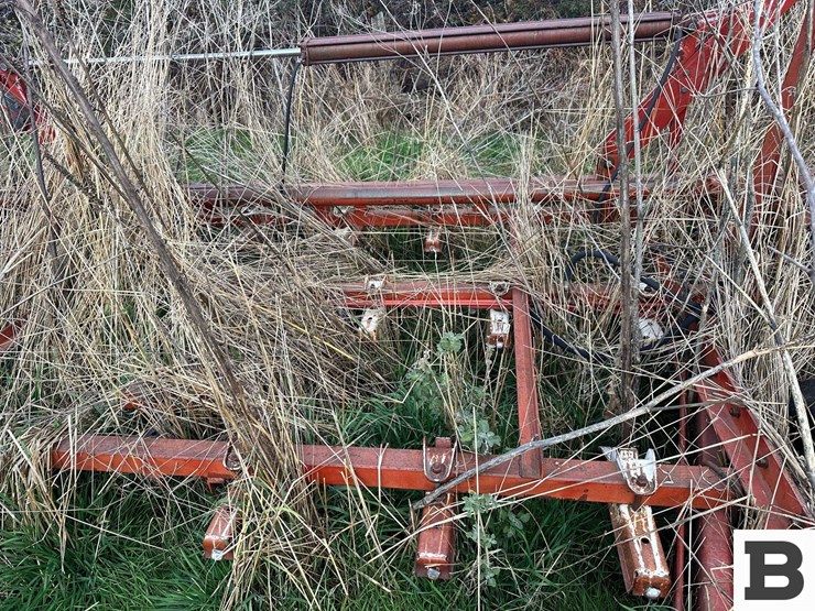 international-45-image-25