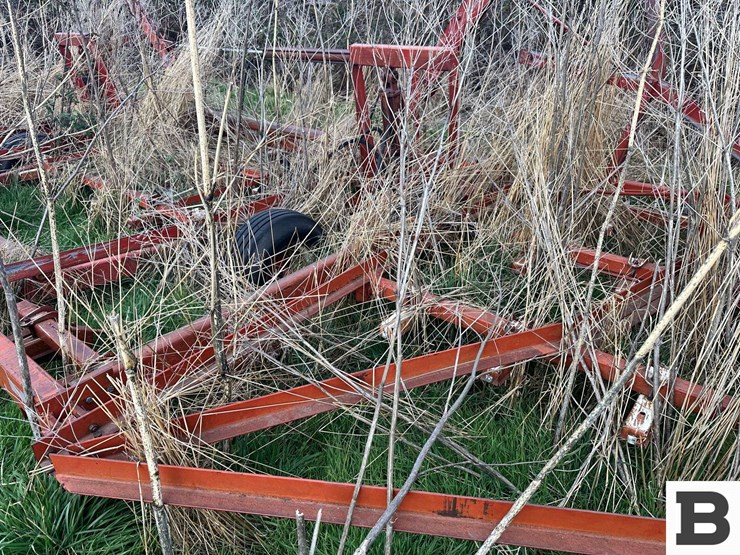 international-45-image-29