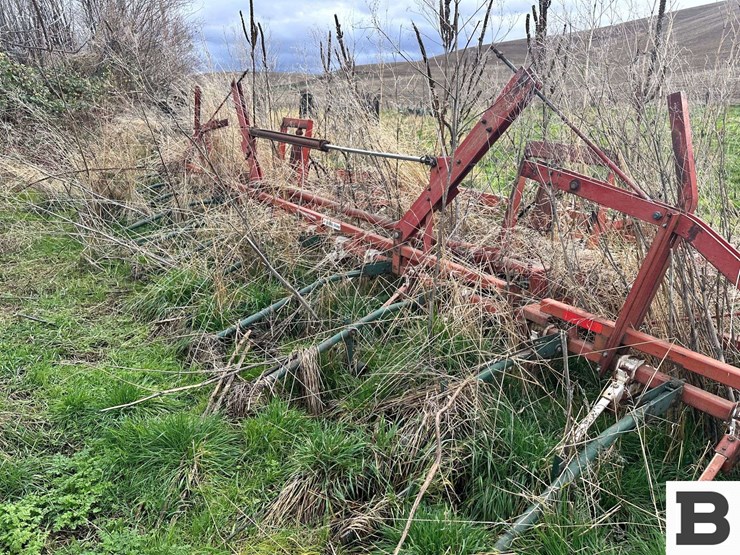 international-45-image-13