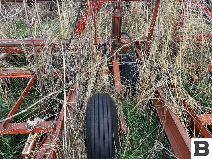 international-45-image-24